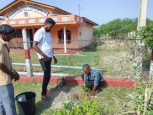 உலக சுற்றாடல் தினத்தினை முன்னிட்டு மர நடுகை நிகழ்வு -04.06.2025